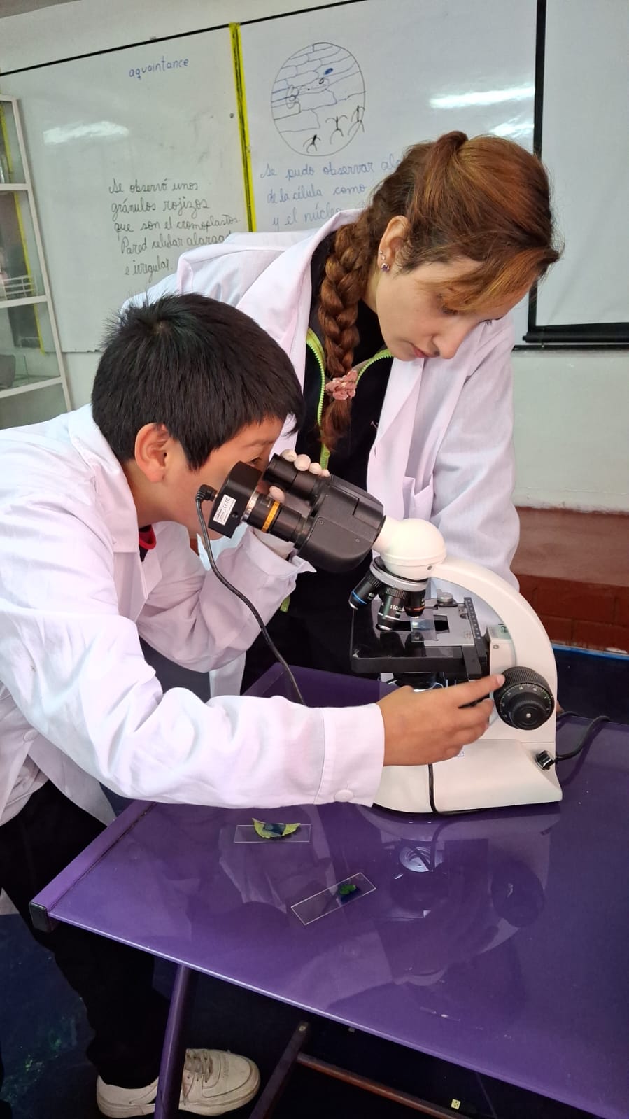 Estudiantes de 4to y 5to de secundaria